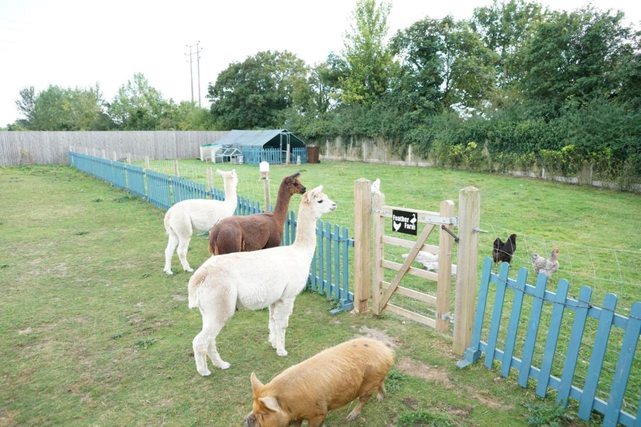Alpaca Lodge Sittingbourne Ngoại thất bức ảnh